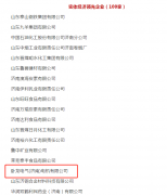 臥龍電驅濟南工廠榮獲濟南市實體經濟領先企業(yè)
