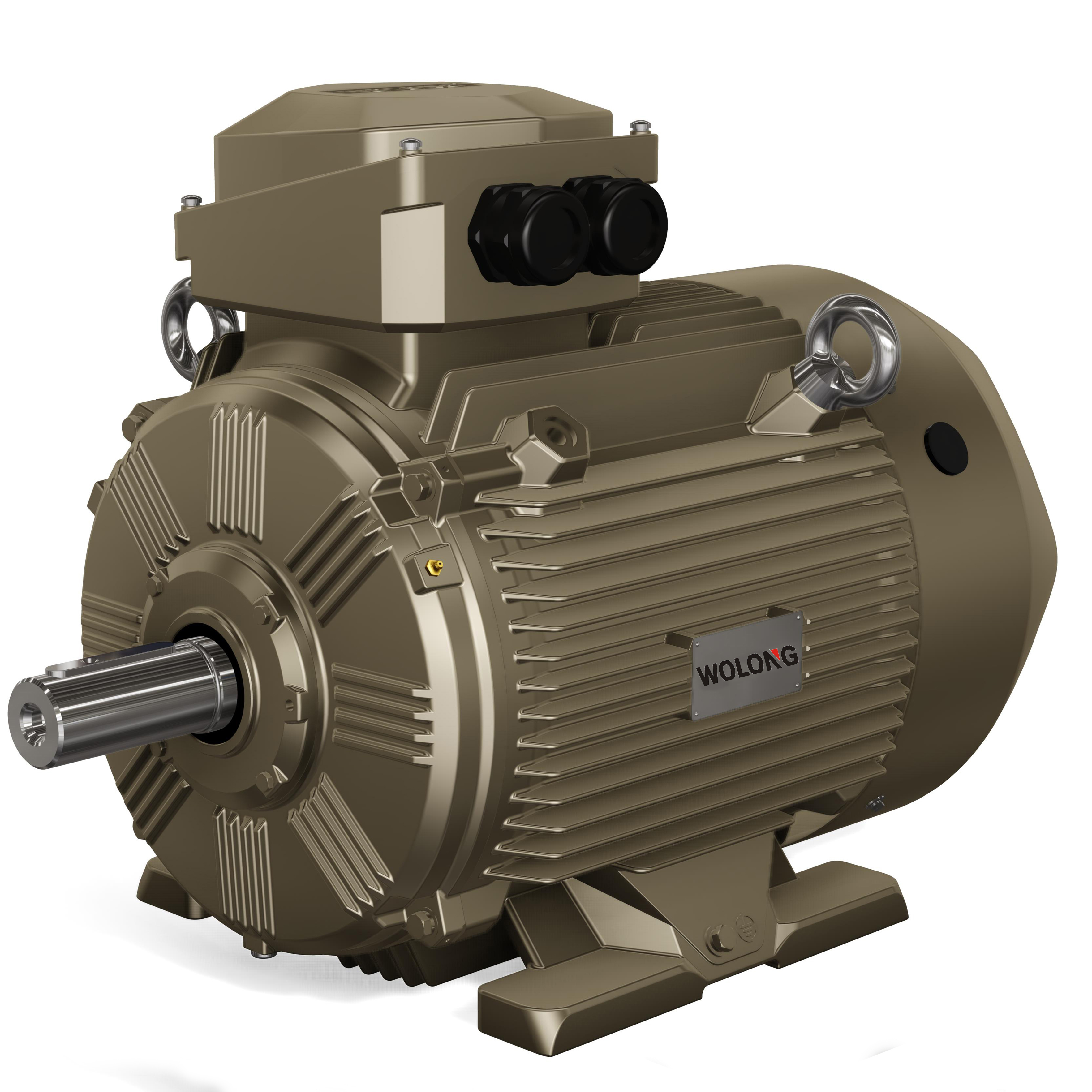 WE4/WE3 series ultra-efficient three-phase AC motor