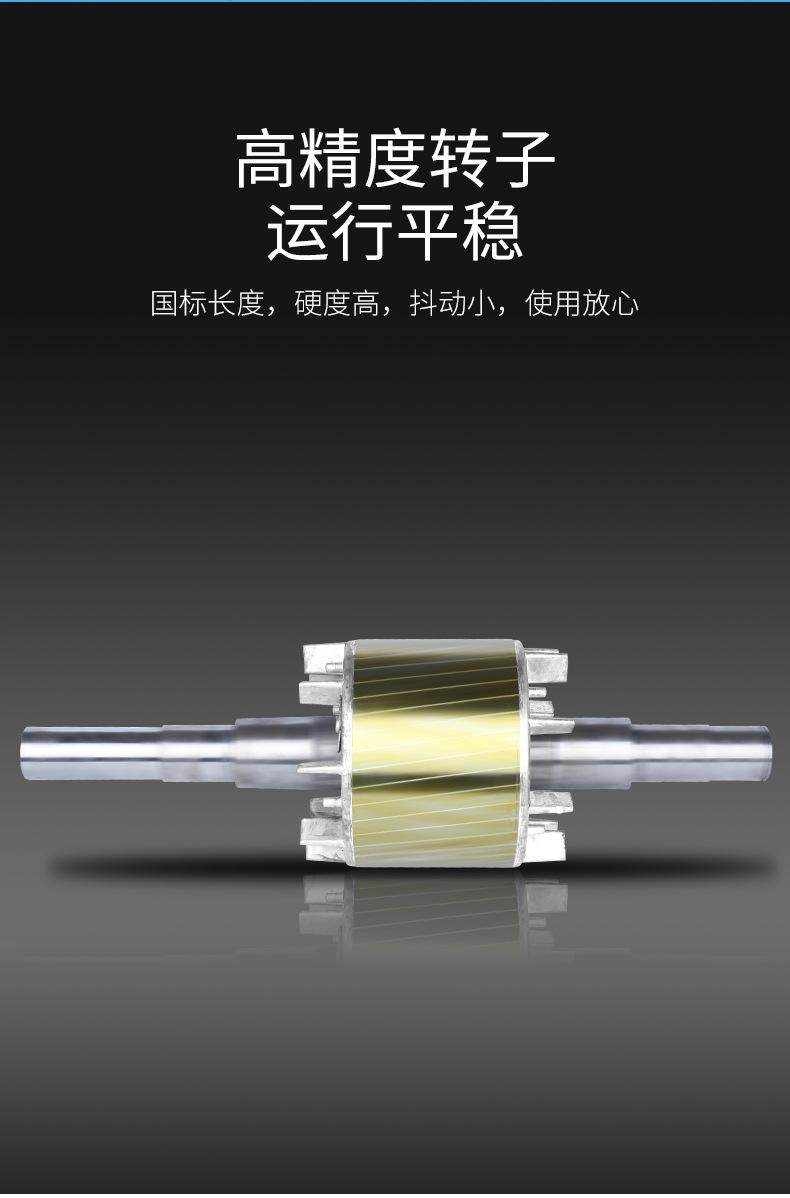 YFB4粉塵防爆三相異步電動機(jī)(圖8)