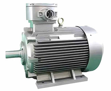低壓防爆電機(jī)常見(jiàn)問(wèn)題：軸承過(guò)熱