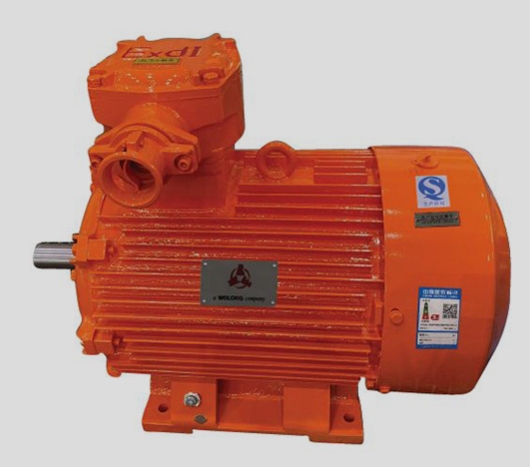 防爆電機(jī)的電氣線(xiàn)路密封與防護(hù)要求